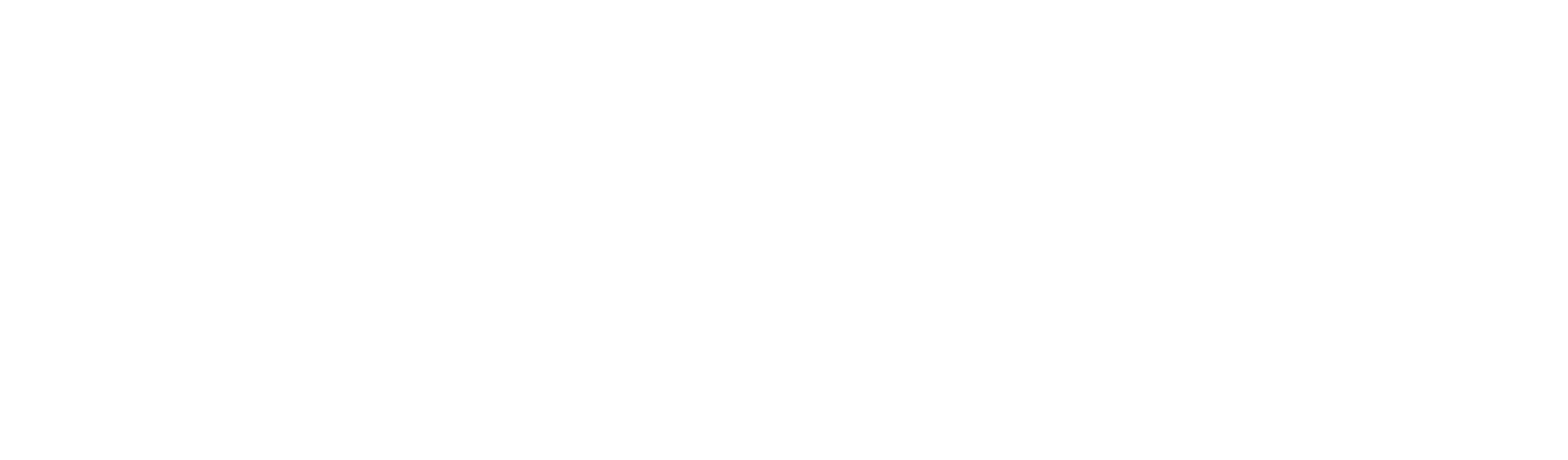 Vizzy